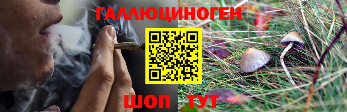 Мариинск  Псилоцибиновые грибы прущие грибы  где можно купить   Вход с VPN 